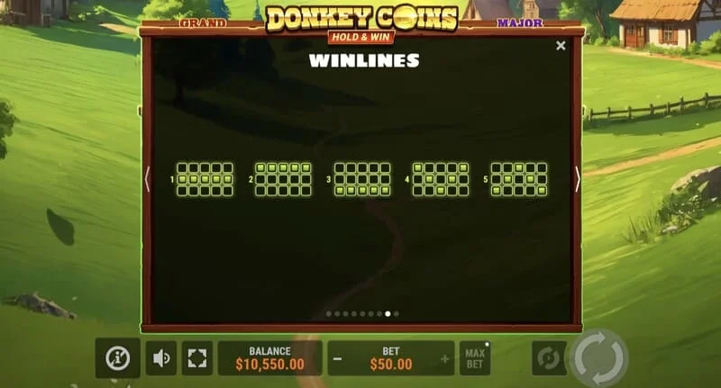 Donkey Coins Hold & Win - μεγάλη νίκη στην ειδική λειτουργία